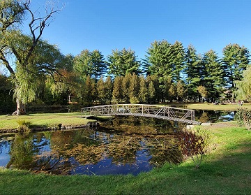 park